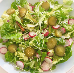 Radish, sprouts, lettuce & pickled cucumbers