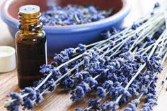 The wonder of Lavender essential oil