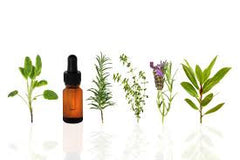 The marvel of Essential Oils