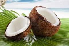 The rise of the coconut. Interesting facts and figures about coconuts!